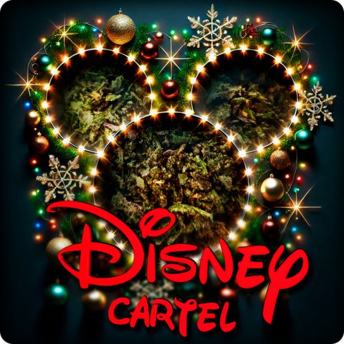 Disney Cartel