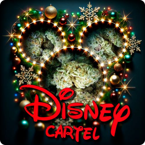 Disney Cartel