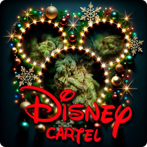 Disney Cartel