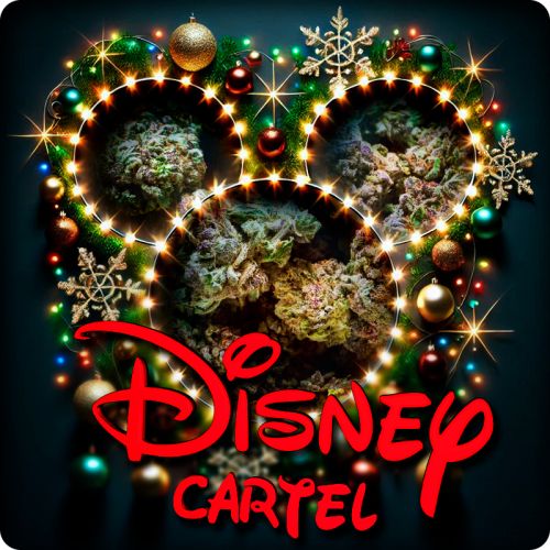 Disney Cartel