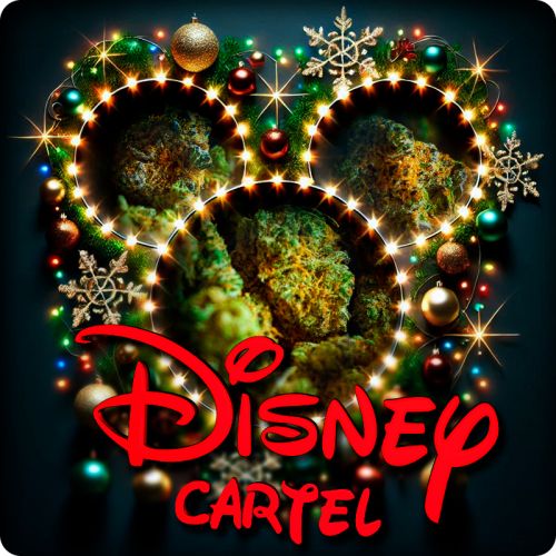 Disney Cartel